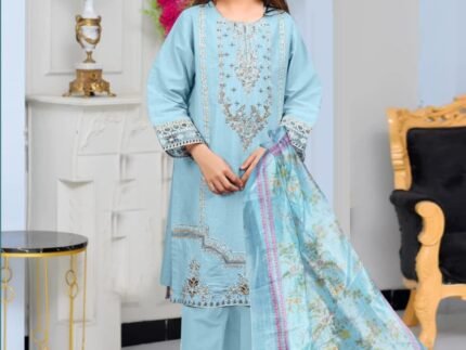 PREMIUM EDITION – VITAL NAVIGO VOL II | Stitched 3PC Chikkenkari Phulkari Suit